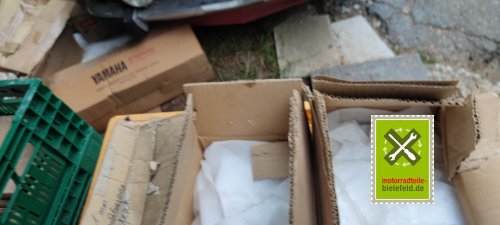 IMG_20230824_180448